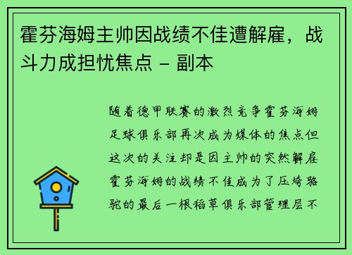 霍芬海姆主帅因战绩不佳遭解雇，战斗力成担忧焦点 - 副本