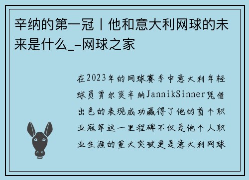 辛纳的第一冠丨他和意大利网球的未来是什么_-网球之家
